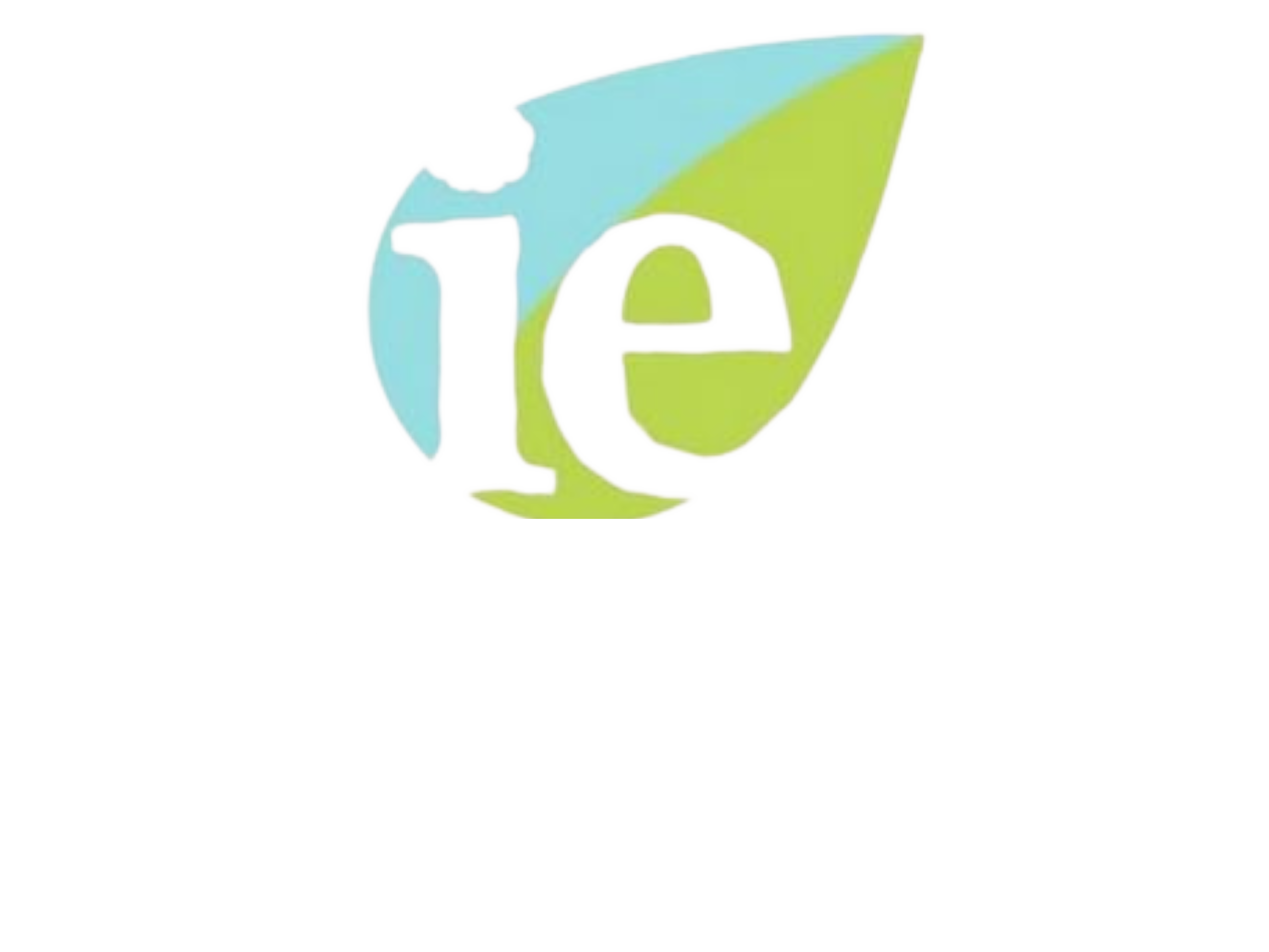 Logo-hero section innovative endo